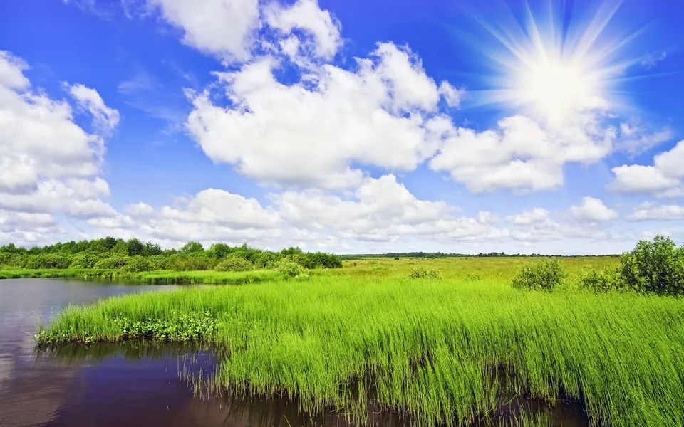 A bright sunny day over a river with lush green grass and trees in the background.