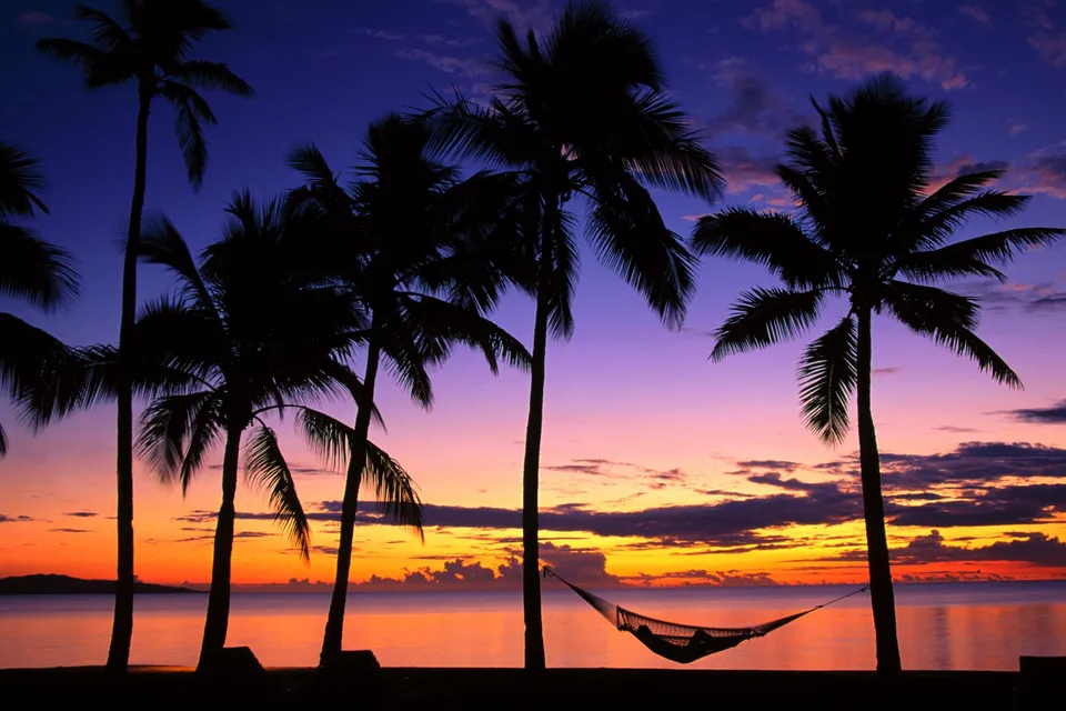 Silhouetted palm trees and a hammock against a vibrant tropical sunset over the ocean.