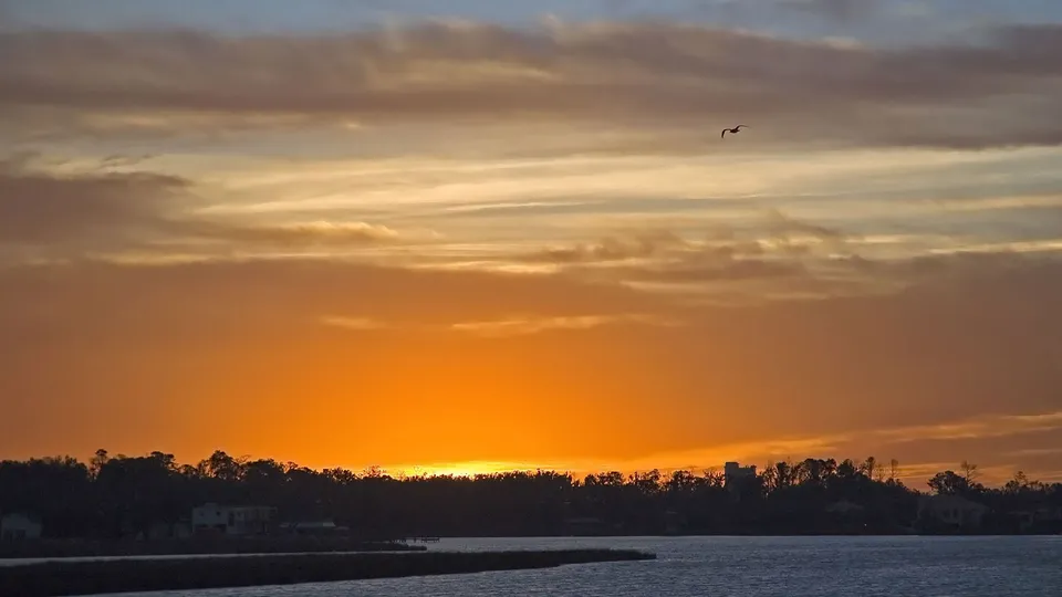 A vibrant orange sunset over calm water with silhouetted trees on the horizon.