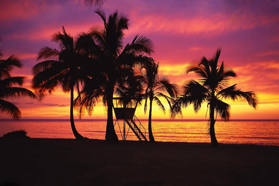 Silhouetted palm trees and a lifeguard stand frame a vibrant sunset over a calm ocean.