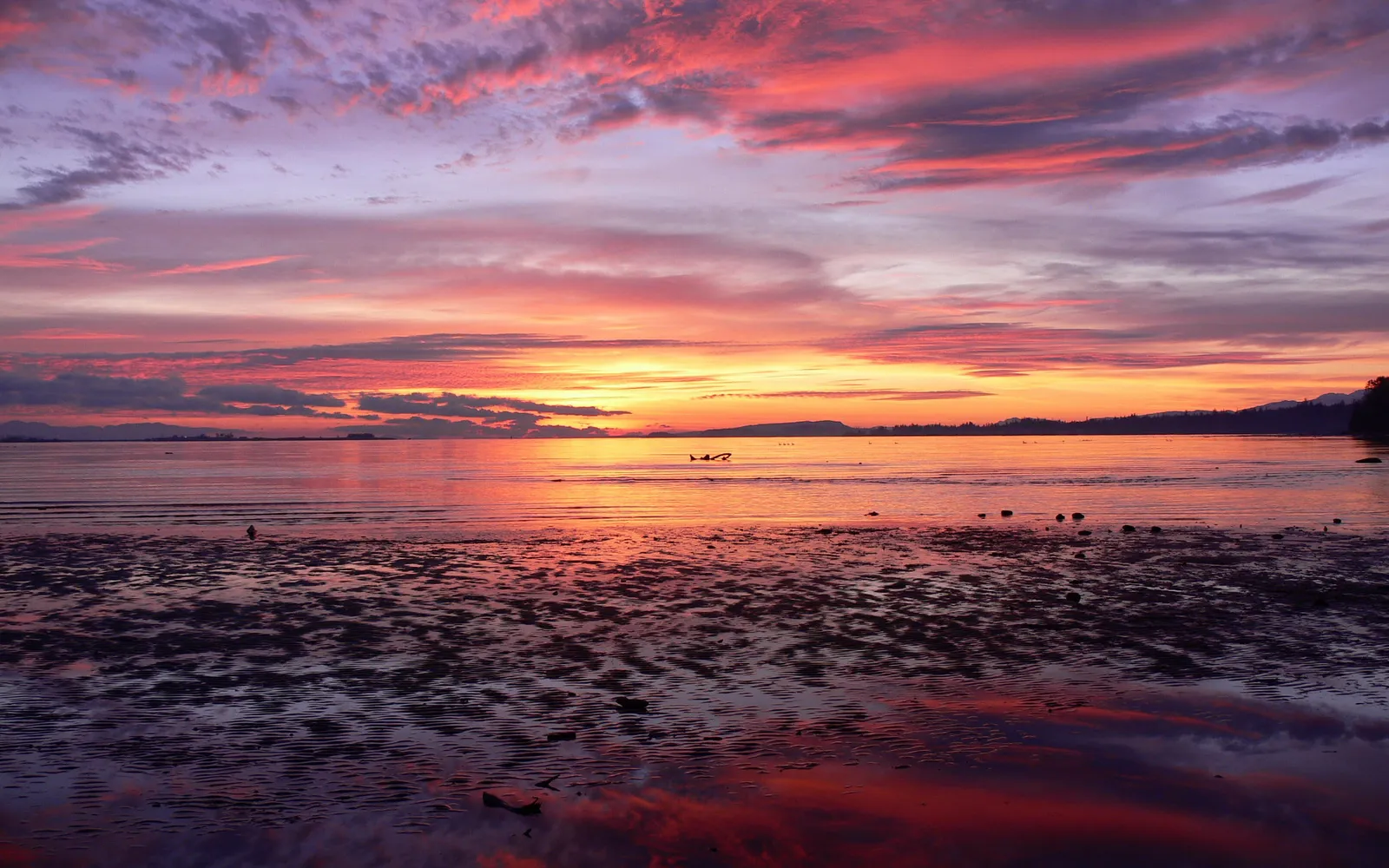A dramatic sunset with vibrant hues of purple, pink, and orange reflected on the calm ocean surface.