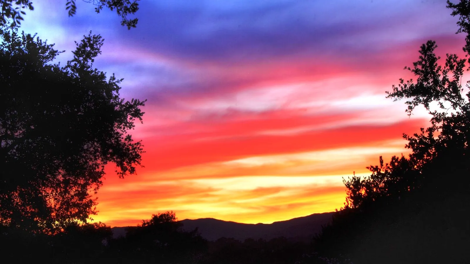 A vibrant sunset with streaks of red, orange, and purple fills the sky, framed by silhouetted trees and distant hills.