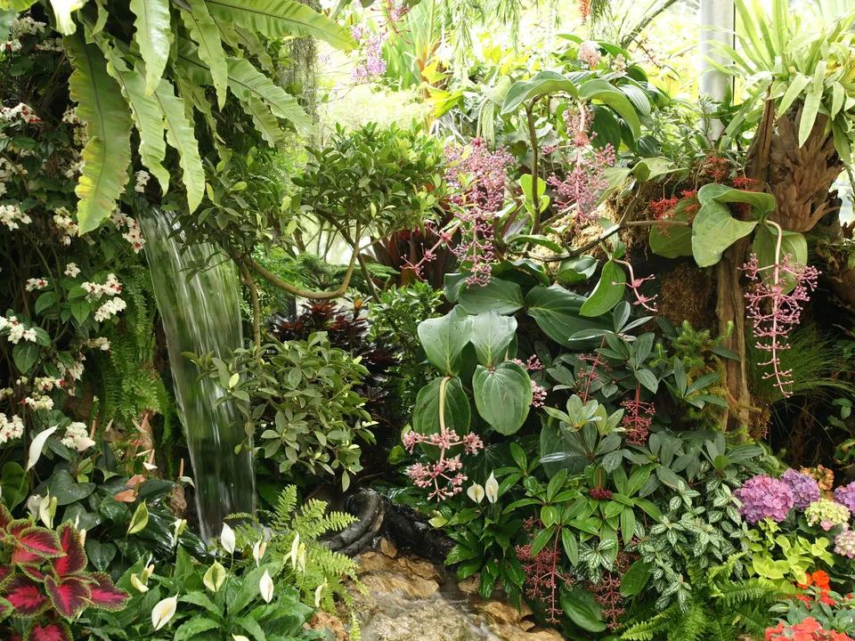 A vibrant tropical garden with lush greenery, pink flowers, and a cascading waterfall.