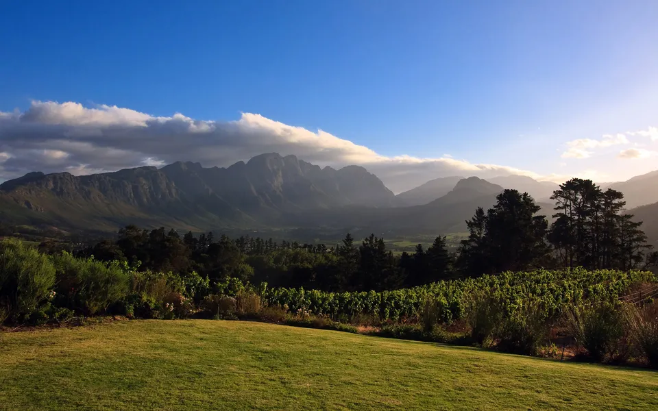 A lush green vineyard valley with mountains in the background under a blue sky with clouds.