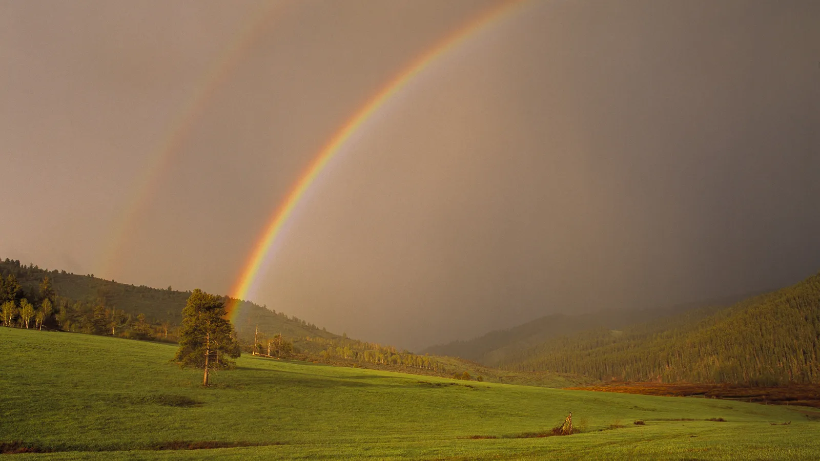 A bright double rainbow arches over green rolling hills after a rain shower.