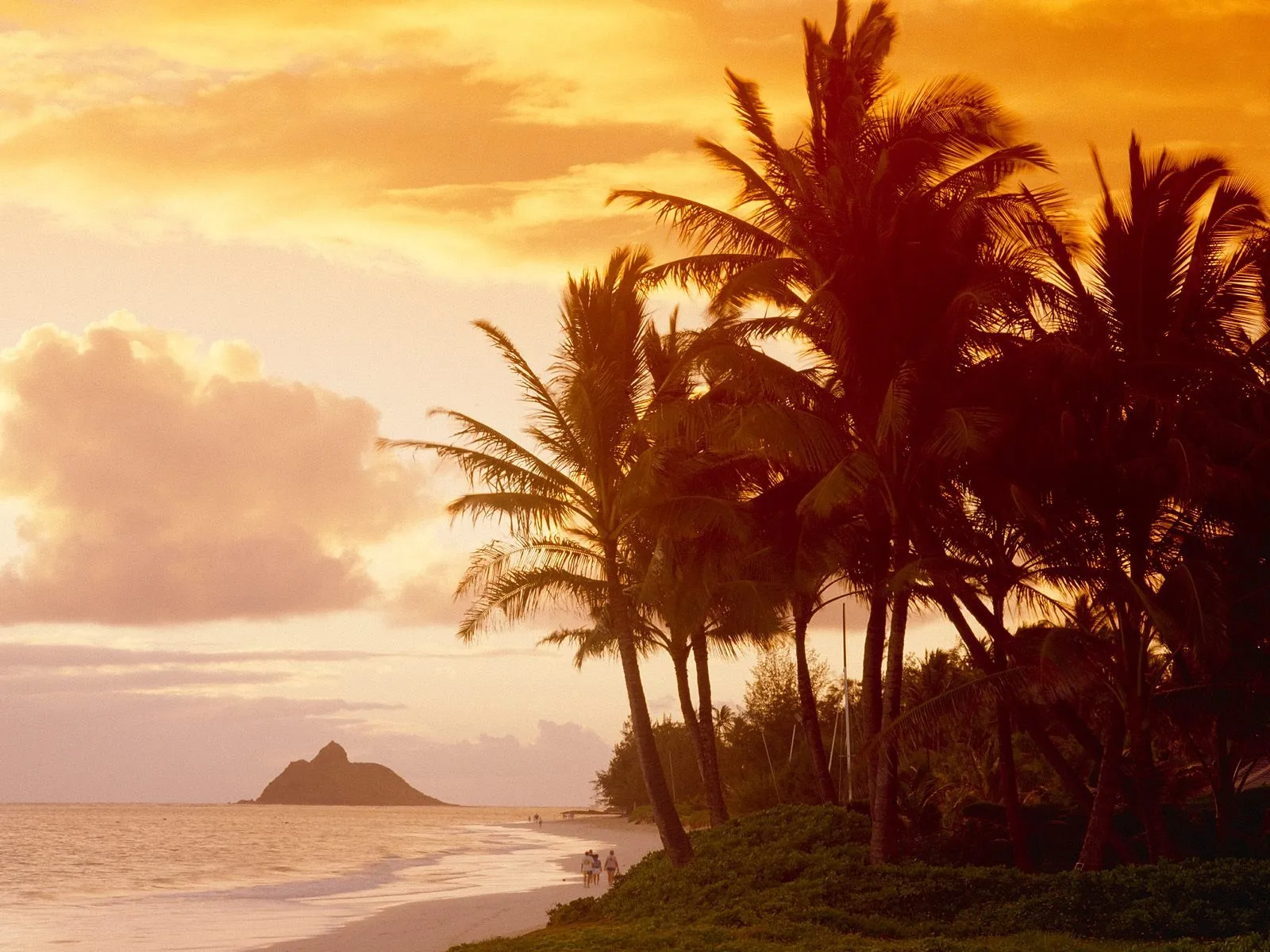 Silhouetted palm trees frame a serene ocean and beach with a small island in the distance during sunset.