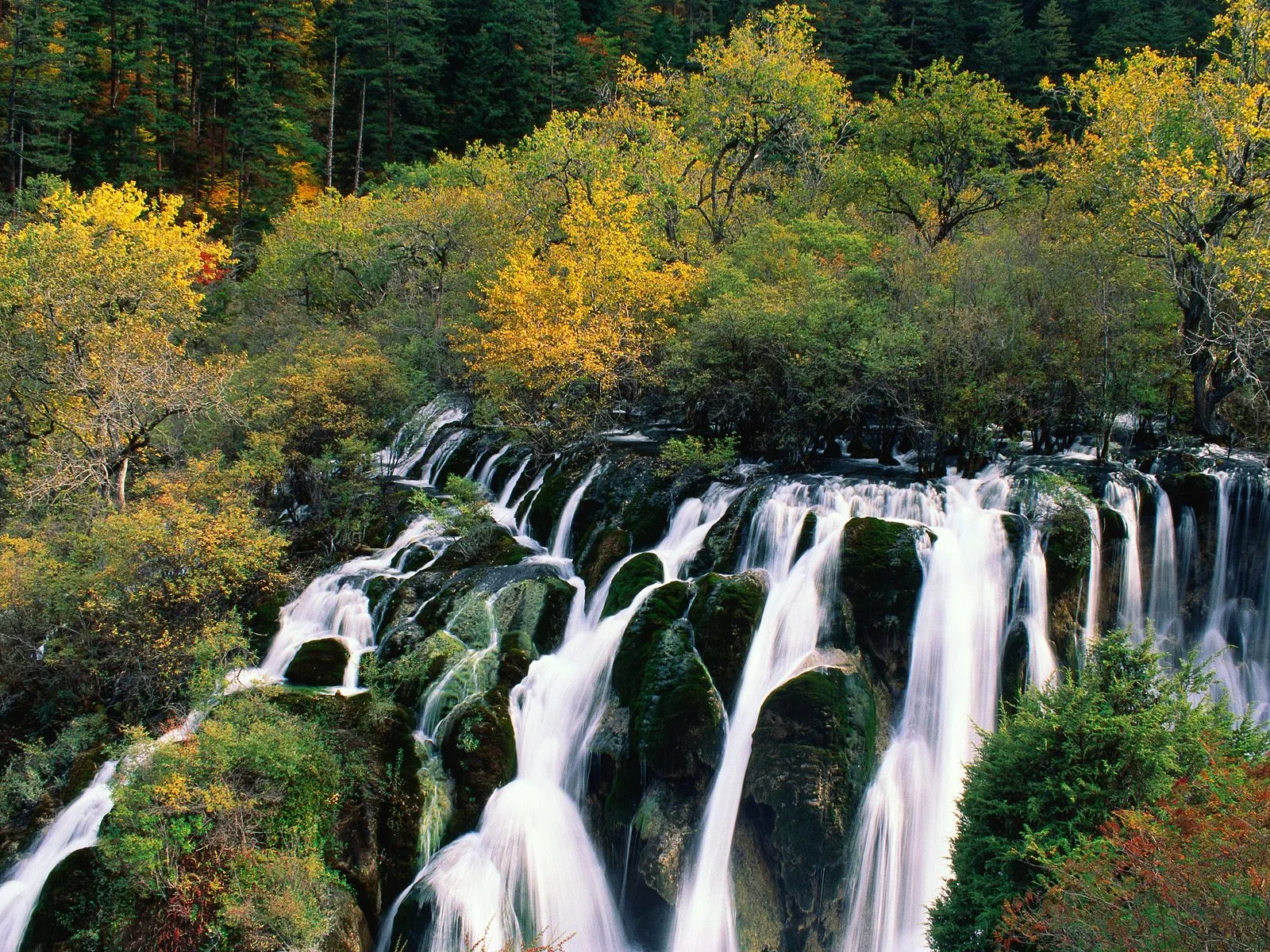 A wide, multi-tiered waterfall flows over mossy rocks, surrounded by trees with yellow and green leaves.