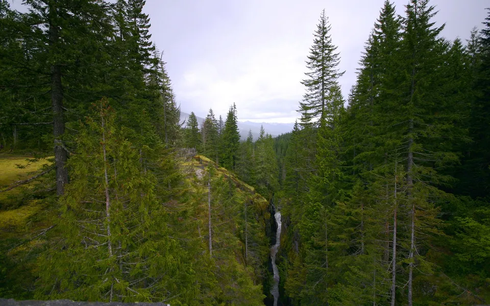 A narrow waterfall flows through a deep gorge surrounded by dense evergreen trees.