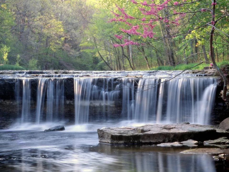 A wide, gentle waterfall cascades over dark rocks into a pool, surrounded by trees and blooming pink flowers.
