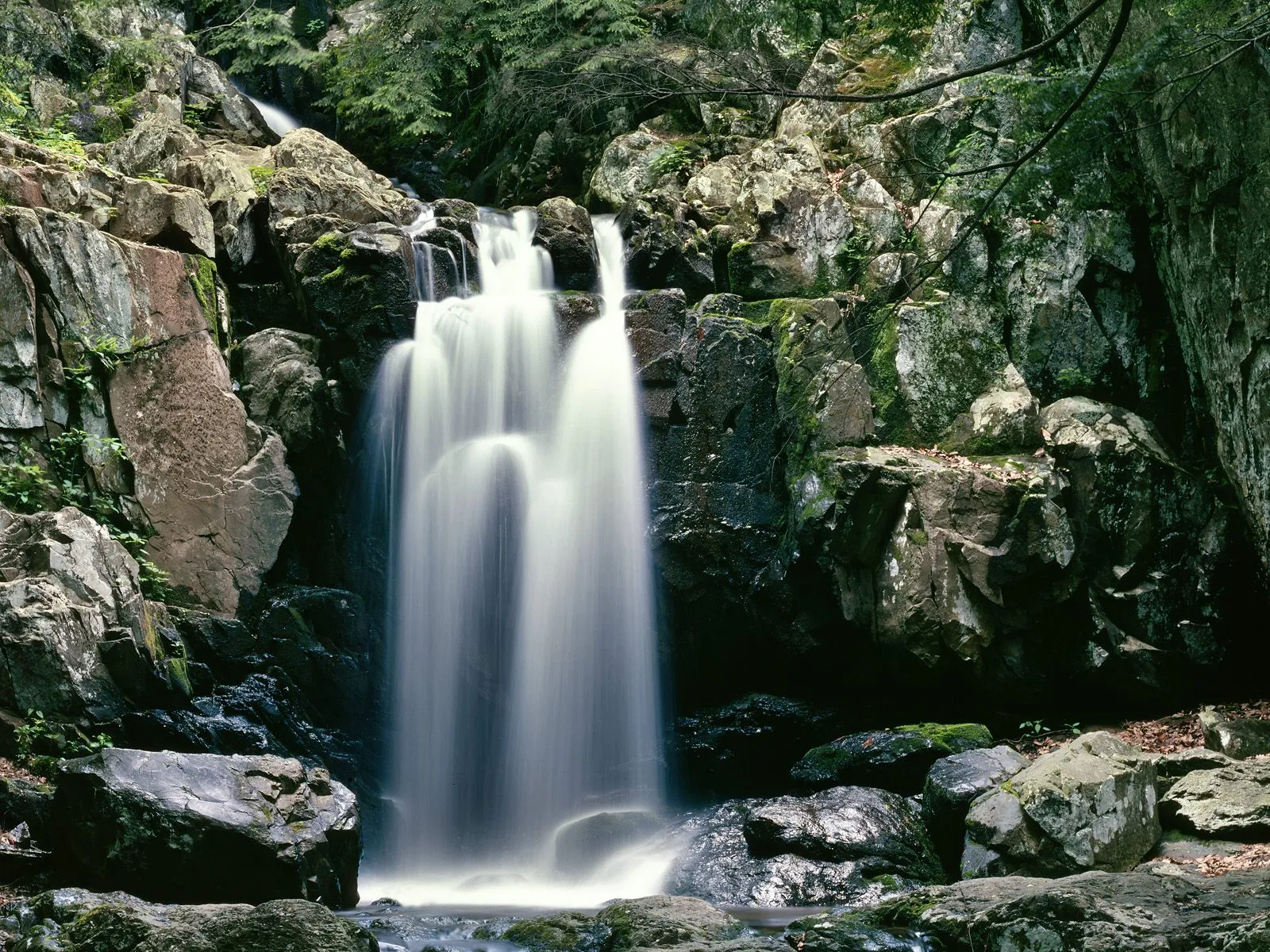 A long exposure captures a cascading waterfall surrounded by moss-covered rocks and lush green trees.