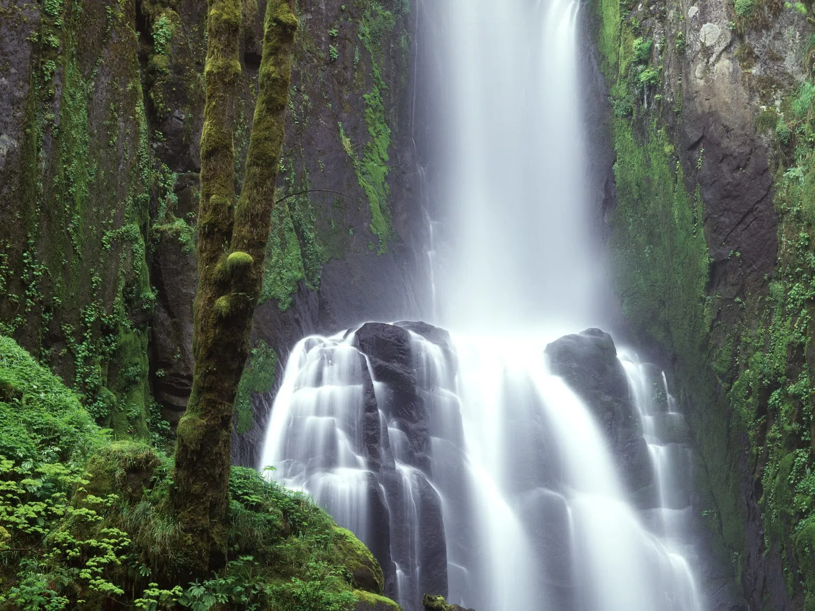 A tall, wide waterfall cascades down moss-covered rocks in a verdant, misty gorge.