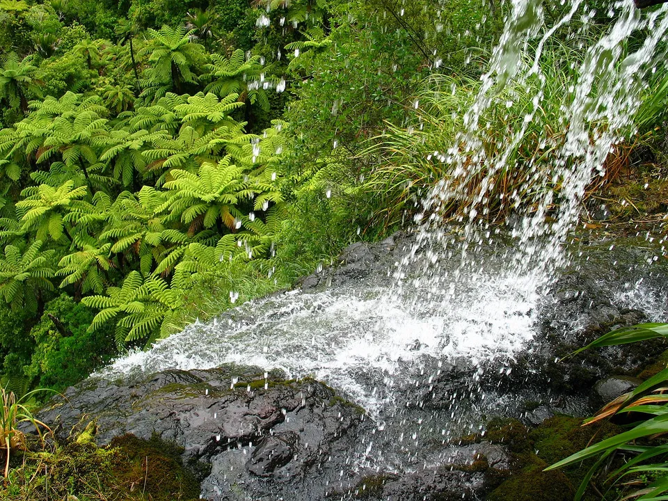 A close-up view of a waterfall cascading over dark rocks, surrounded by vibrant green ferns and foliage.