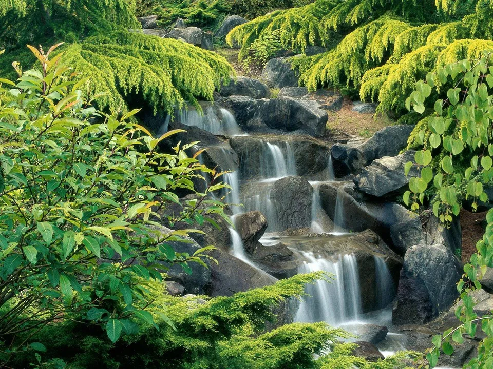A multi-tiered waterfall flows over dark rocks, surrounded by vibrant green foliage and trees.