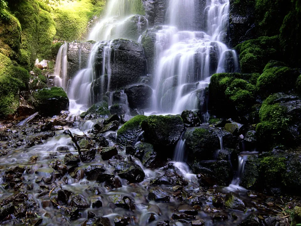 A lush waterfall cascades over dark, moss-covered rocks in a forest setting.