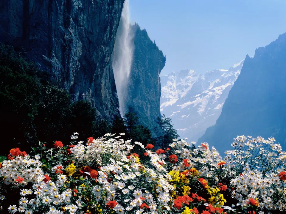 A tall waterfall plunges down a dark cliff face, with a foreground of colorful wildflowers and snow-capped mountains in the background.
