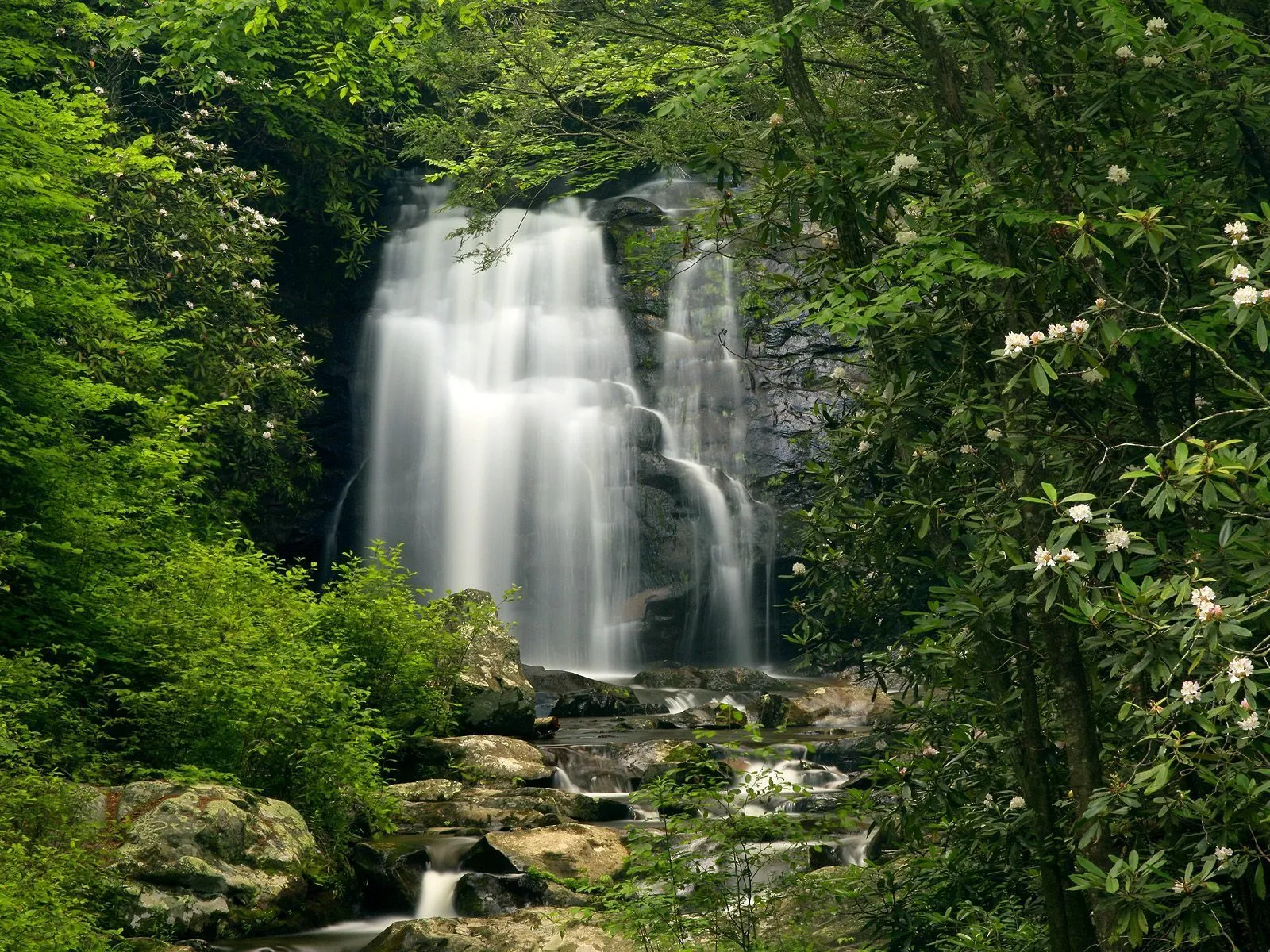 A waterfall flows over dark rocks, surrounded by lush green forest and white flowers.