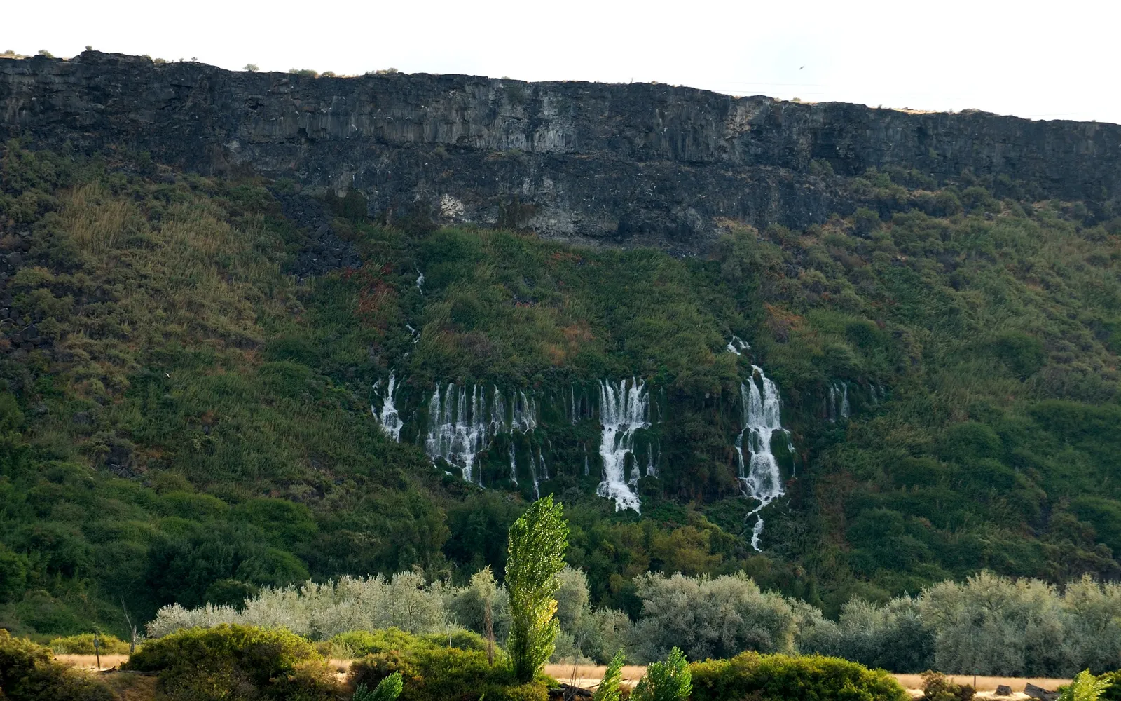 Multiple thin waterfalls flow down a lush green cliff face, with trees in the foreground.