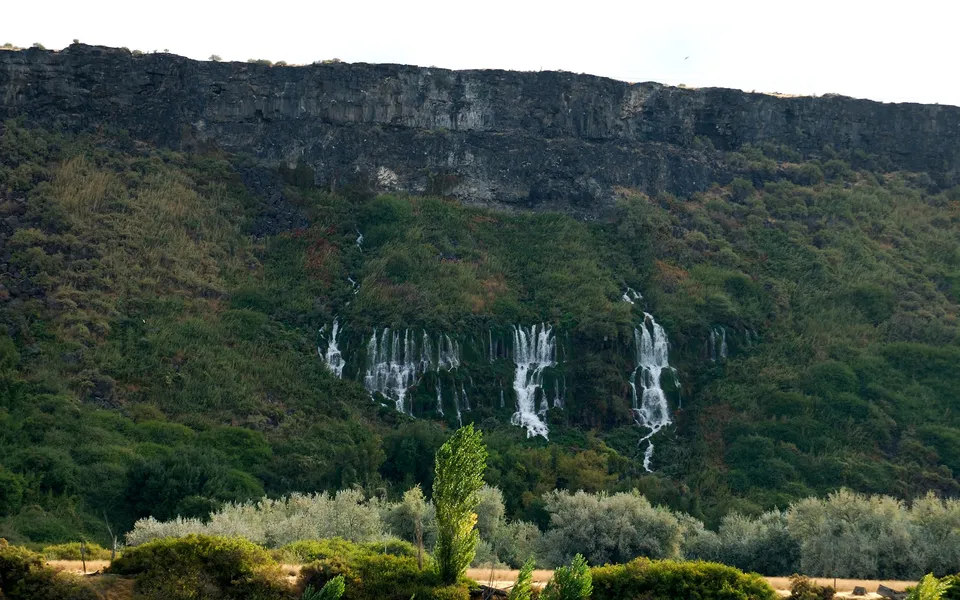 Multiple thin waterfalls flow down a lush green cliff face, with trees in the foreground.
