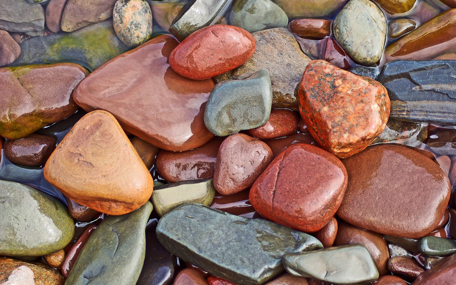 A close-up view of smooth, wet river stones of various colors and shapes submerged in clear water.