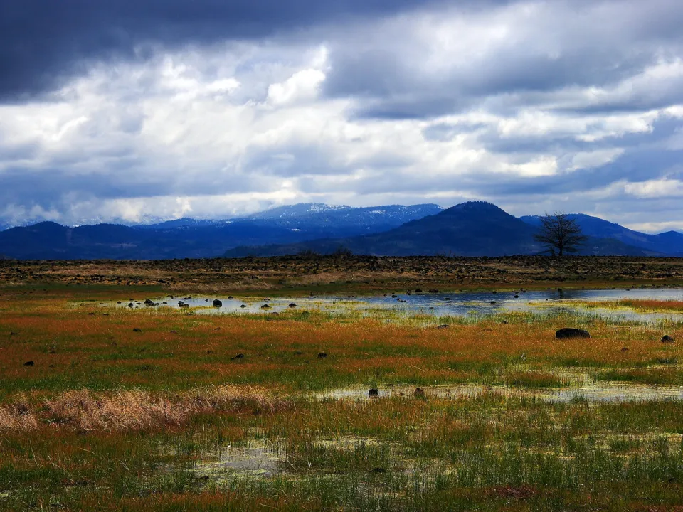 A wide view of a wetland meadow with tall grasses and pools of water, leading to distant blue mountains under a dramatic cloudy sky.