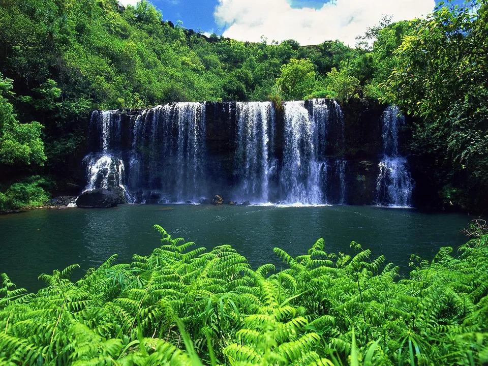 A wide tropical waterfall flows into a dark green pool, with lush ferns in the foreground.
