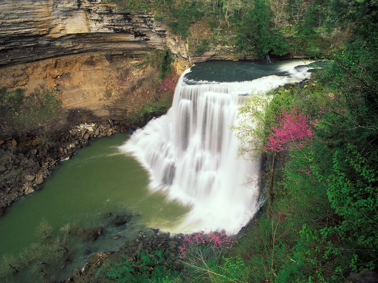 A wide waterfall cascades into a green pool surrounded by lush foliage and pink flowering trees.