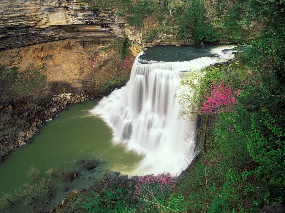 A wide waterfall cascades into a green pool surrounded by lush foliage and pink flowering trees.