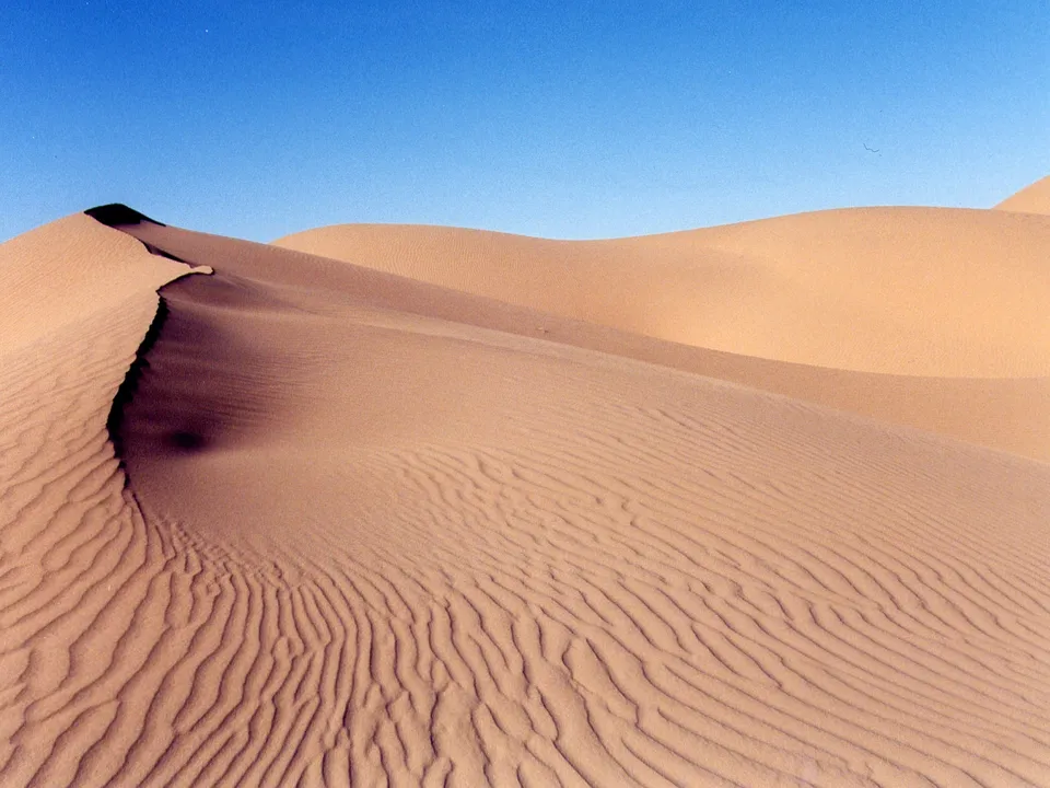 Sand dunes with intricate wind ripples under a clear blue sky.