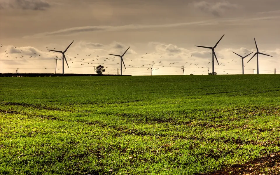 A field of green grass with wind turbines and a flock of birds in the sky.