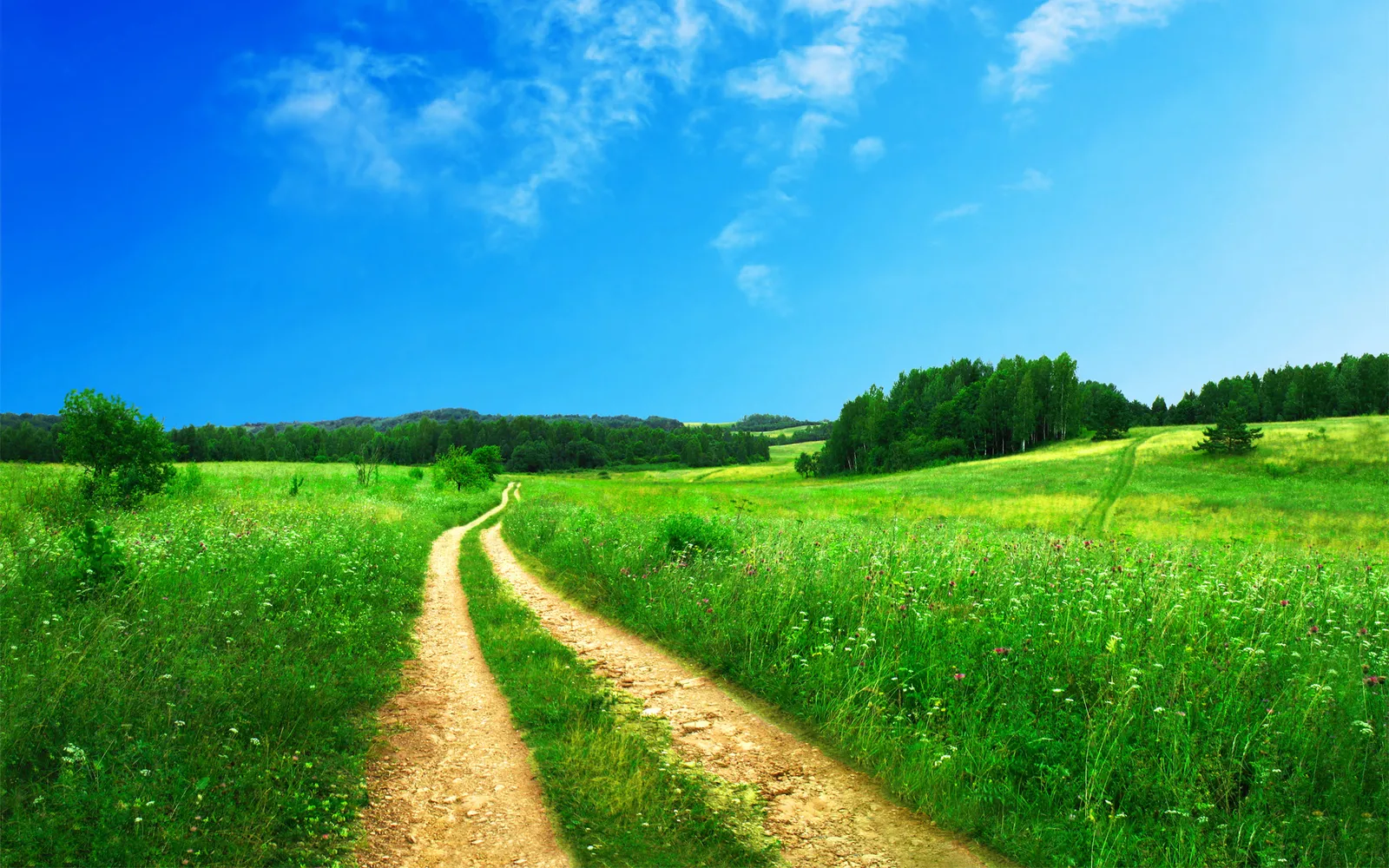 A winding dirt road leads through a vibrant green meadow under a bright blue sky with scattered clouds.