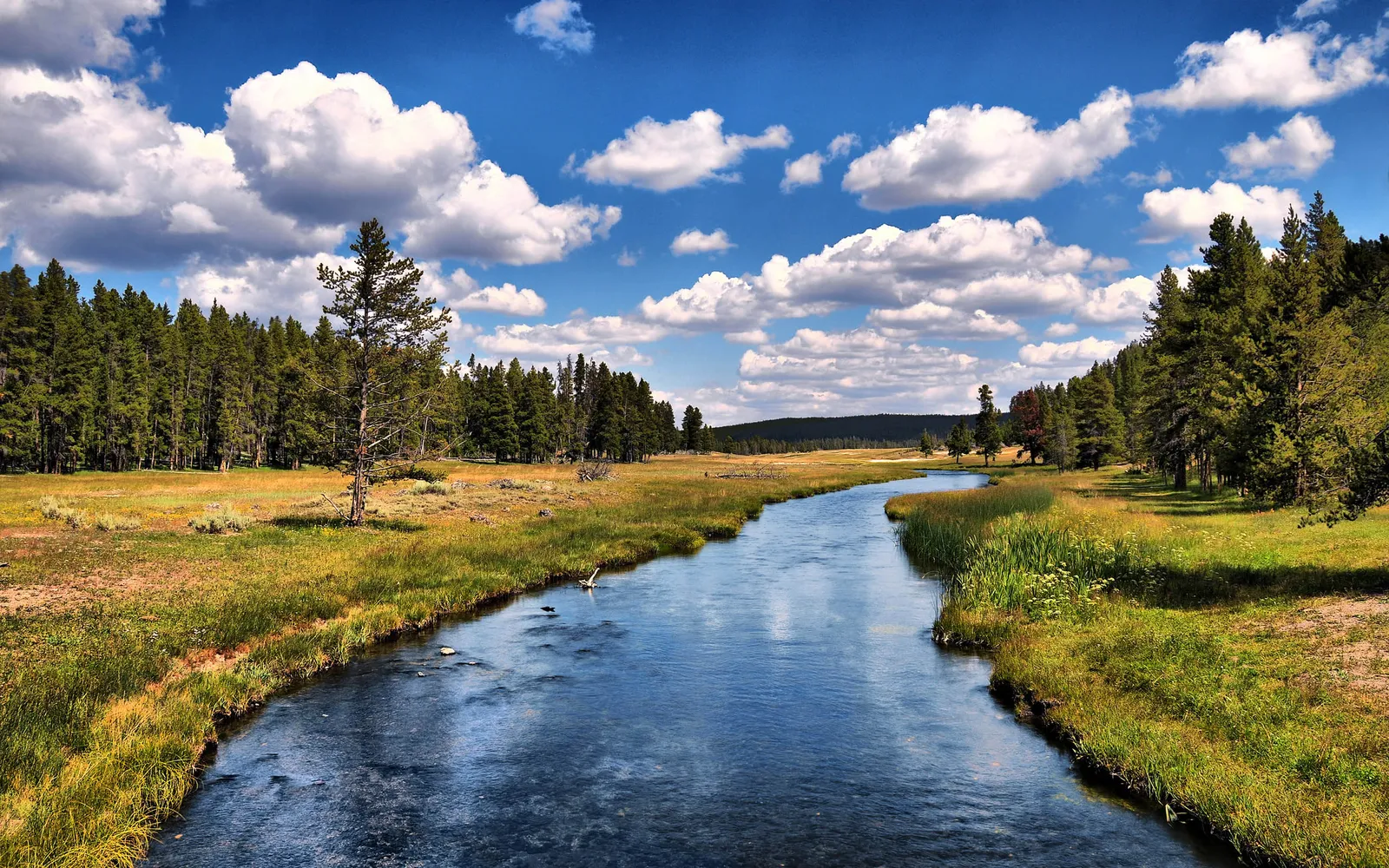 A wide, blue river flows through a grassy meadow with pine trees on the left and right under a cloudy blue sky.