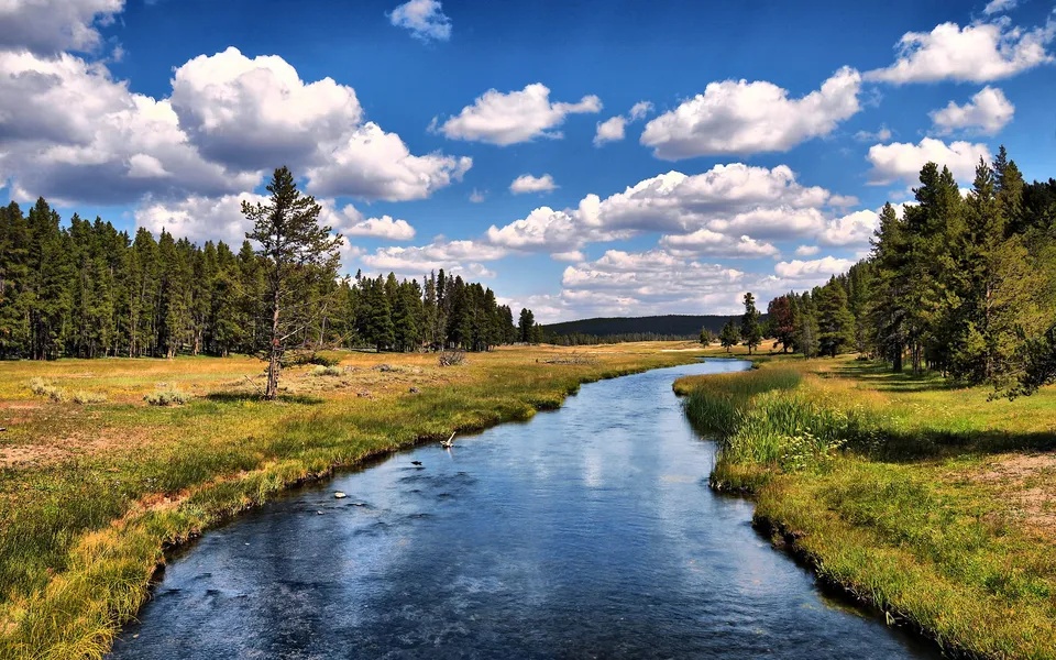 A wide, blue river flows through a grassy meadow with pine trees on the left and right under a cloudy blue sky.
