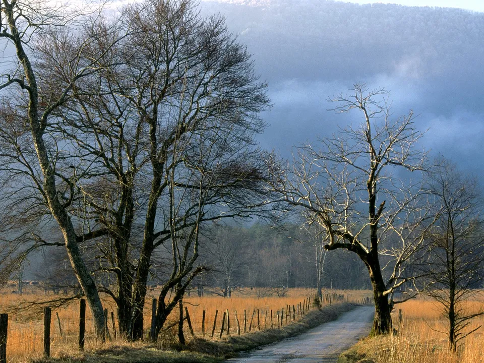 A dirt road curves through a field of dry grass, lined by bare trees, with misty mountains in the background.