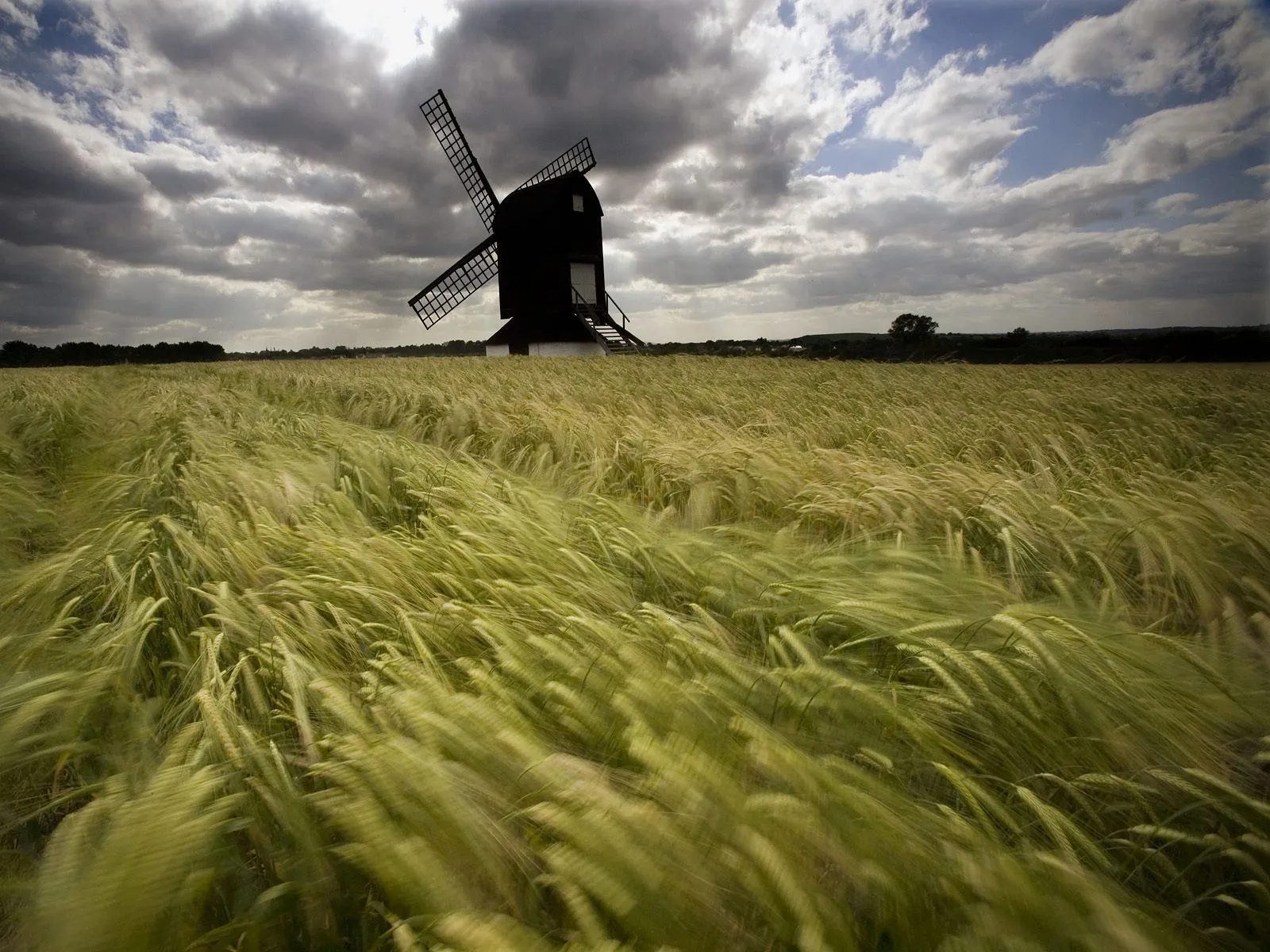 A dark windmill stands in a field of swaying golden grass under a dramatic cloudy sky.