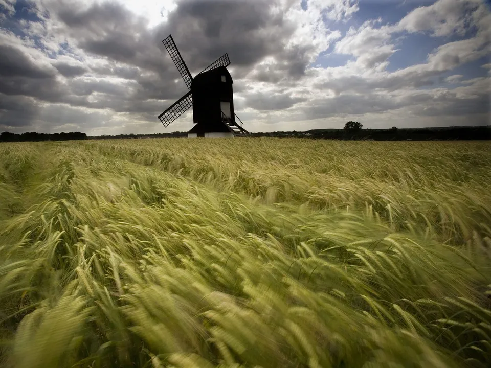 A dark windmill stands in a field of swaying golden grass under a dramatic cloudy sky.