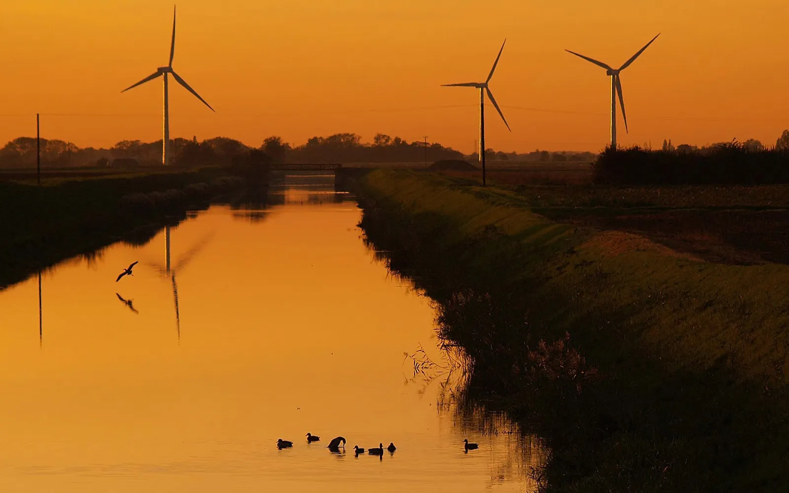 Silhouettes of windmills and birds in the sky above a canal reflecting a vibrant orange sunset.