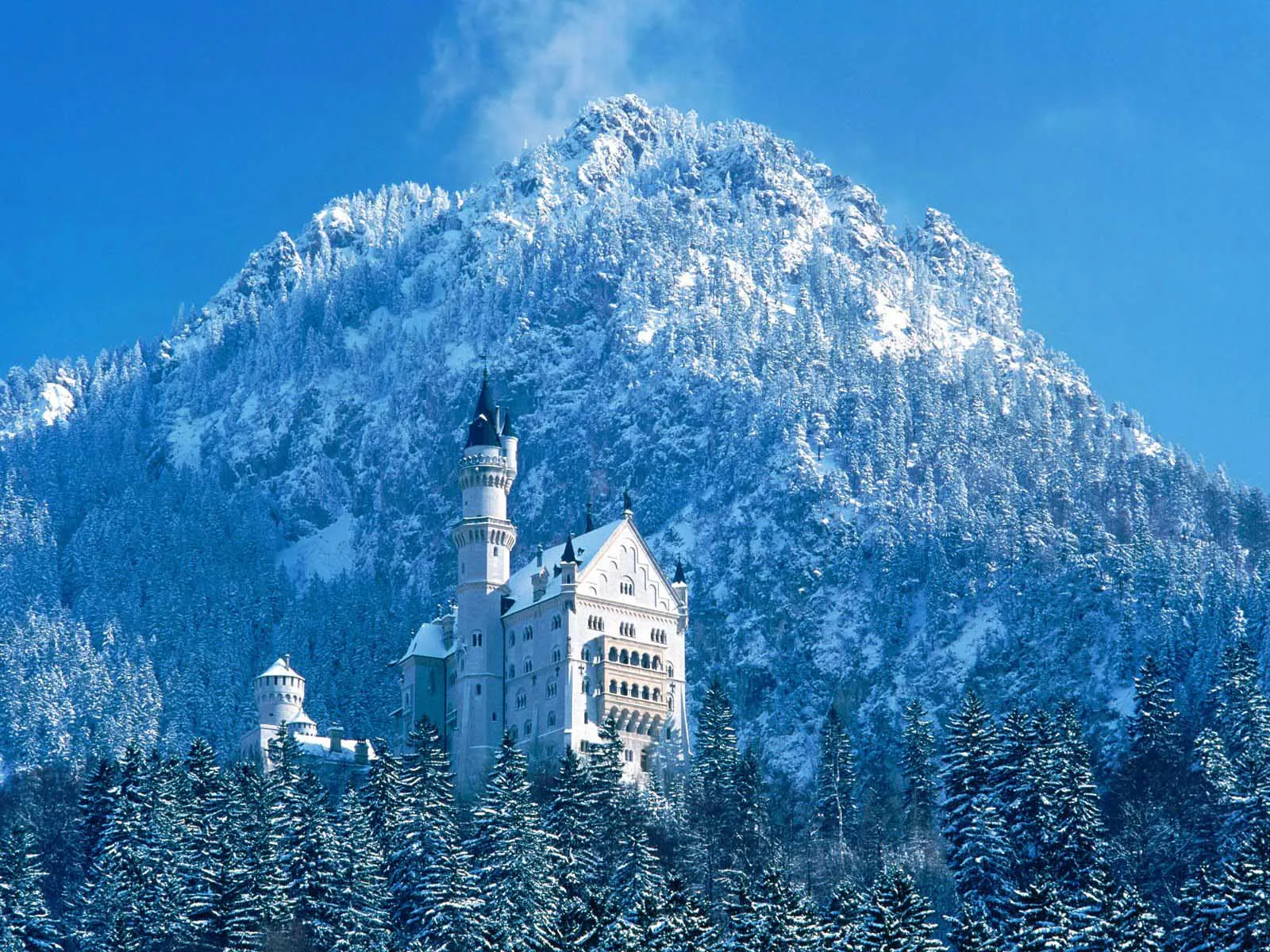 A majestic white castle sits nestled in a snow-covered forest at the base of a large, snow-capped mountain.