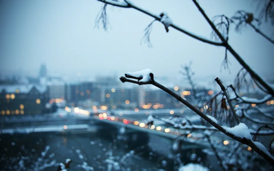 Snow-covered branches in the foreground with a blurred city and river in the background.