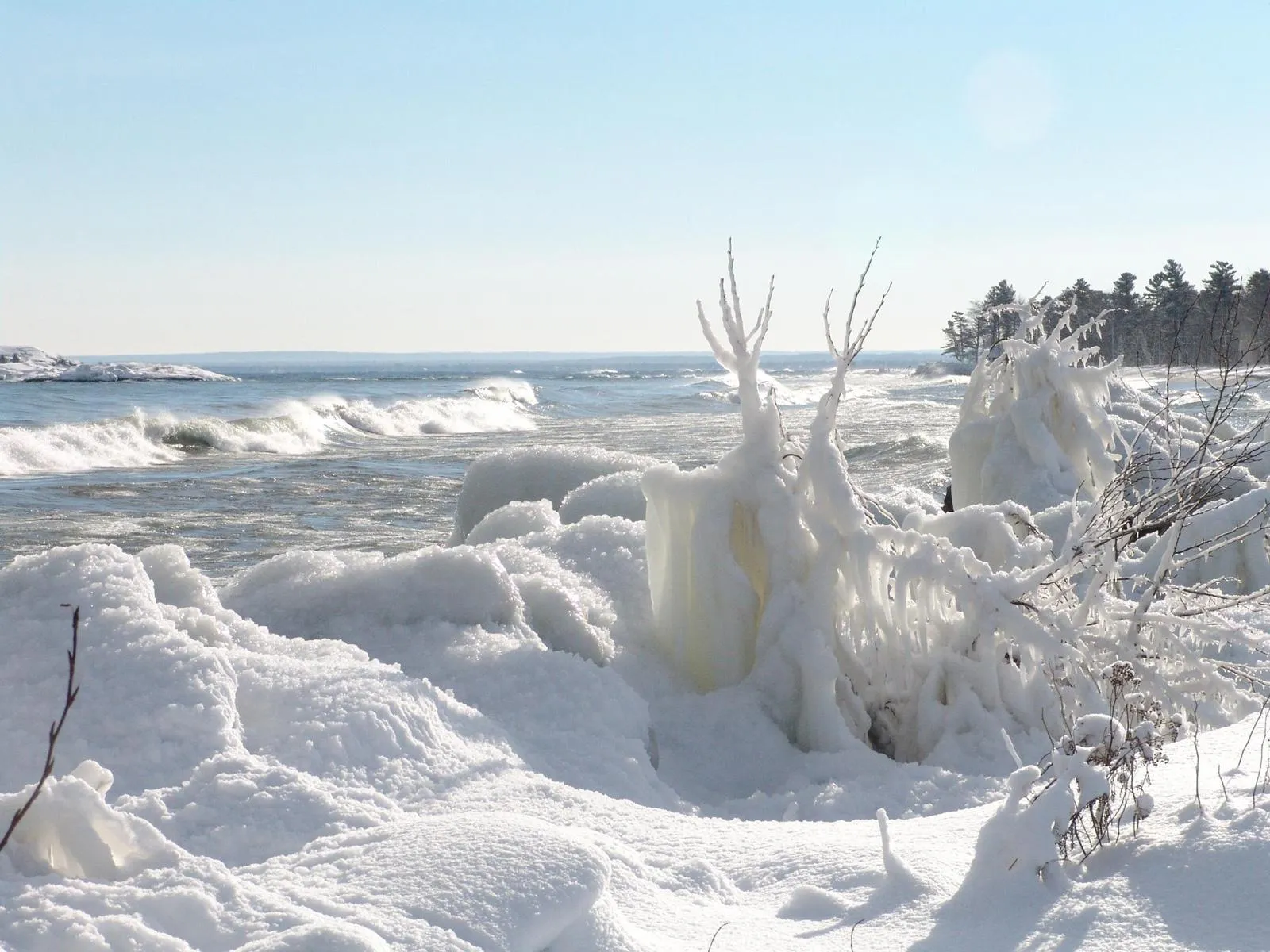 Frozen trees and snowdrifts line a coastline with waves breaking in the distance under a clear blue sky.