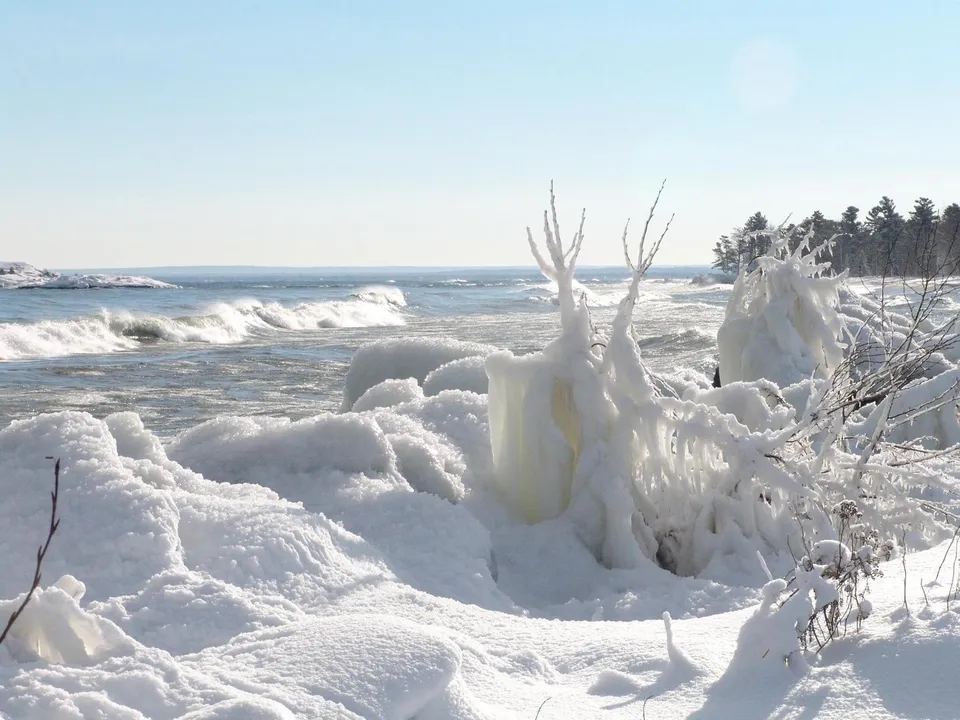 Frozen trees and snowdrifts line a coastline with waves breaking in the distance under a clear blue sky.
