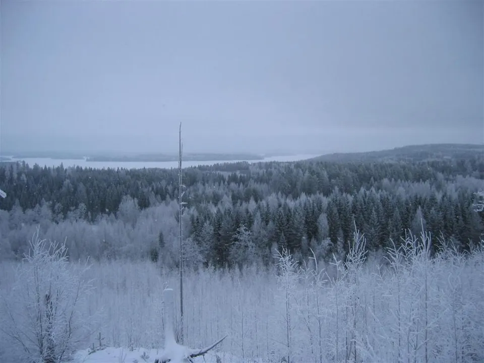 A wide view of a snow-covered forest with frosted trees in the foreground and a frozen lake in the distance under a cloudy sky.