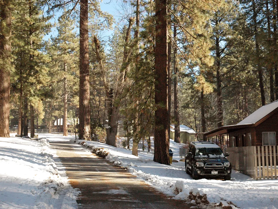A paved road winds through a snow-covered pine forest with a car parked near a cabin.