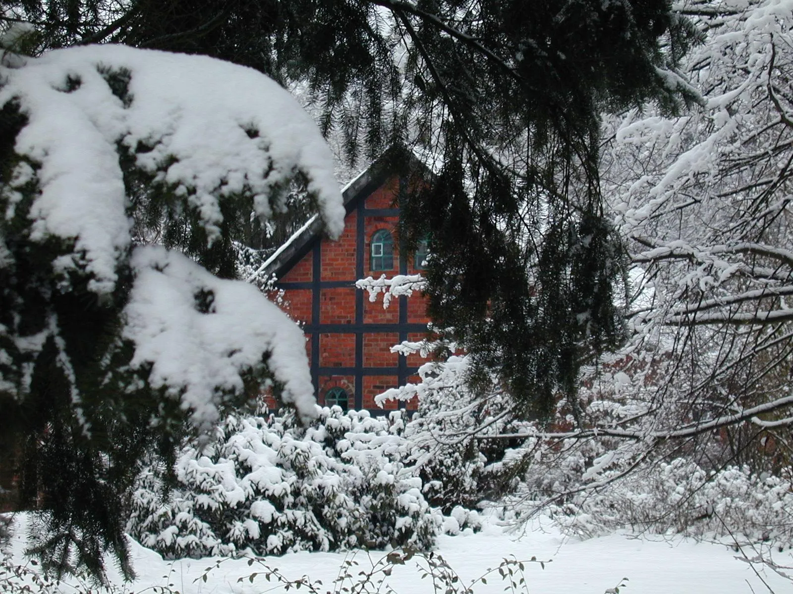 A red brick house with dark timber framing is visible through snow-covered evergreen branches.