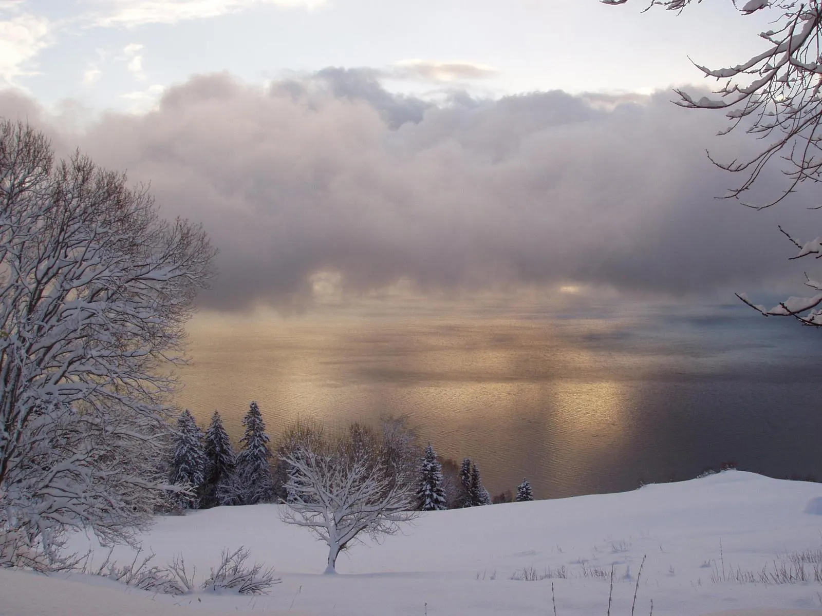 A snow-covered landscape with trees overlooks a calm lake under a cloudy sky.