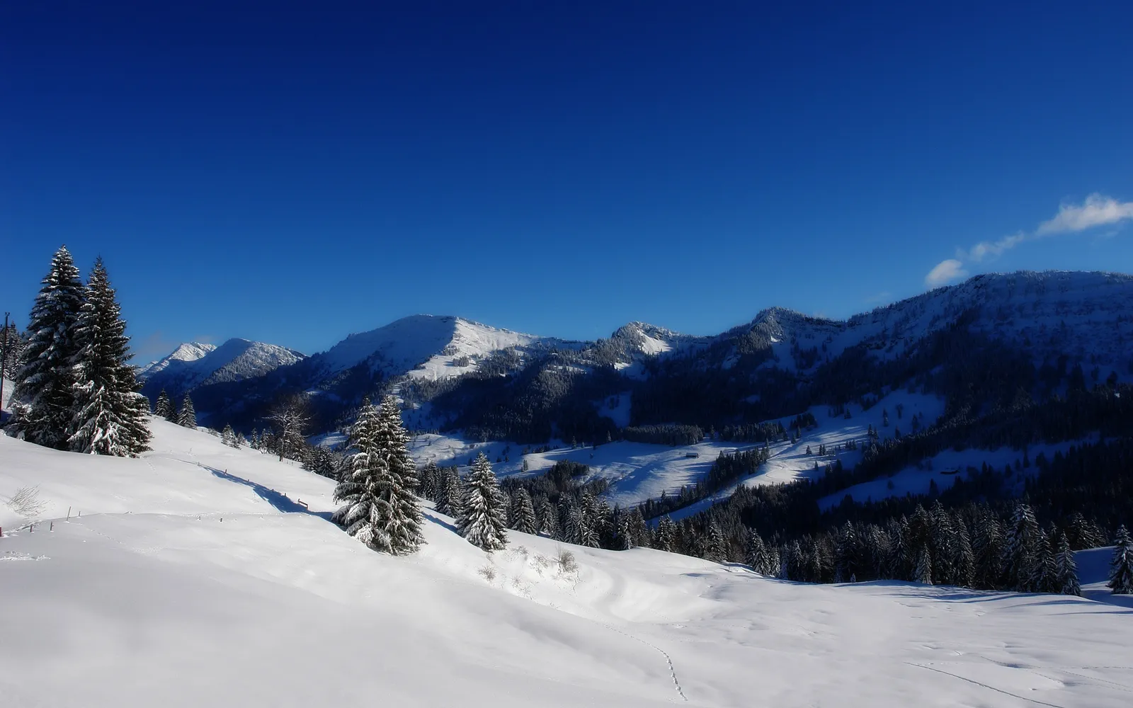 A wide winter landscape shows snow-covered mountains and pine trees under a clear, deep blue sky.