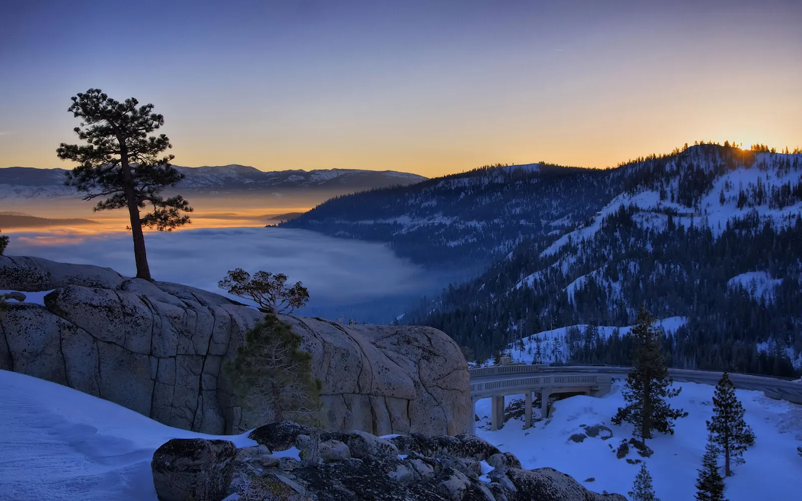 A lone pine tree stands on a rocky outcrop overlooking a valley filled with fog, with snow-covered mountains and a sunrise in the background.