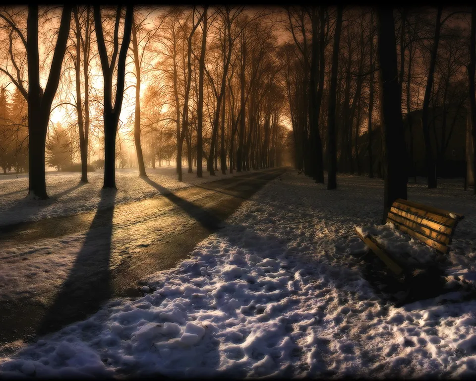 A snow-covered park path lined with bare trees, illuminated by the warm glow of sunset.