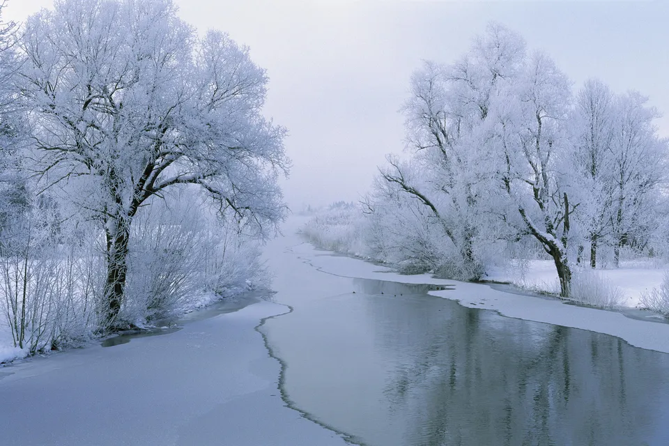 A frozen river winds through a landscape of trees covered in frost and snow under a pale sky.
