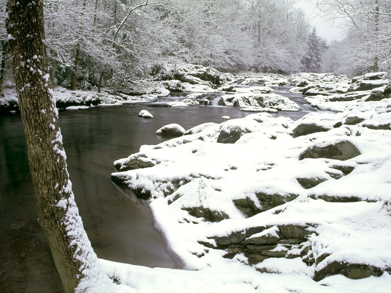 A dark river flows through a landscape covered in snow, with snow-laden trees in the background.