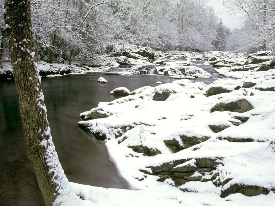 A dark river flows through a landscape covered in snow, with snow-laden trees in the background.